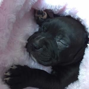 Meet your Posher, Christopher